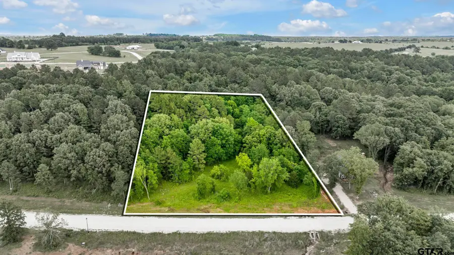 17260 Stella Maris St, Winona, TX 75792 - Image #3