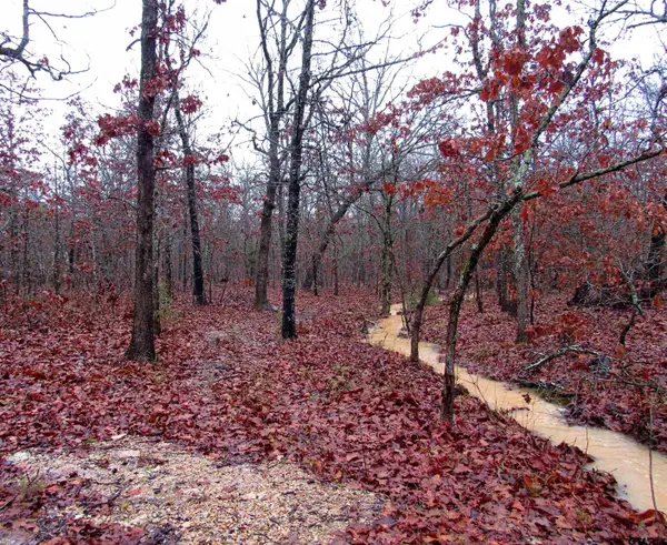 1998 Christine Street, Blossom, TX 75416