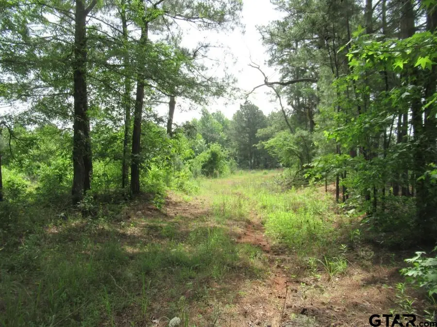 9018 Hwy 64, Overton, TX 75684 - Image #3