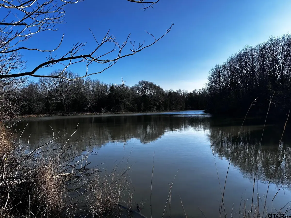 TRACT G/ 261 PRIVATE ROAD 8506, Van, TX 75790 - Image #1