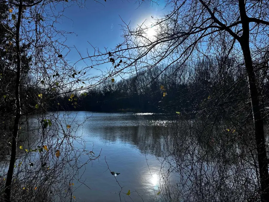 TRACT H/ 333 PRIVATE RD 8506, Van, TX 75790 - Image #2