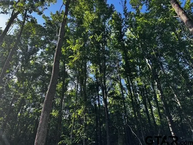 TRACT H/ 333 PRIVATE RD 8506, Van, TX 75790 - Image #3