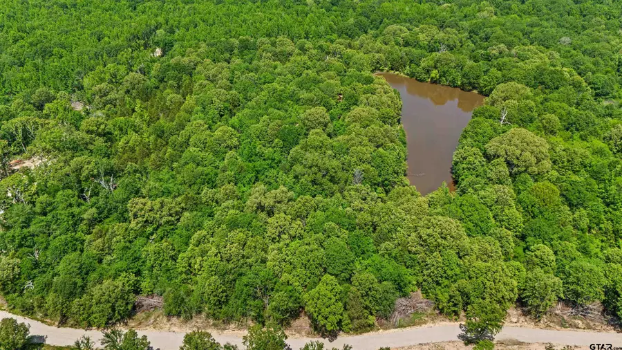 TRACT I/ 599 PRIVATE ROAD 8507, Van, TX 75790 - Image #3