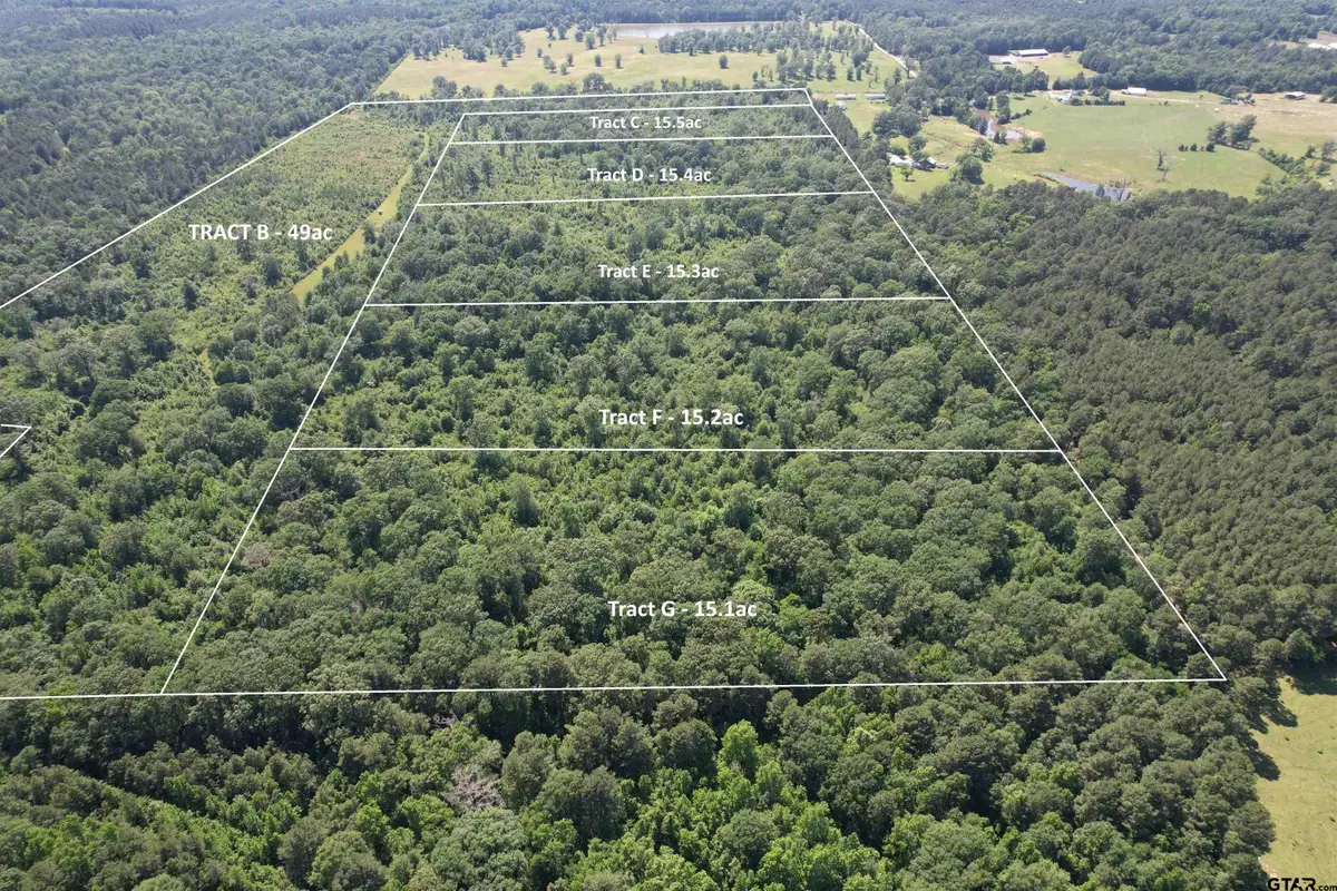 TBD-D County Road 4021, Timpson, TX 75975 - #1