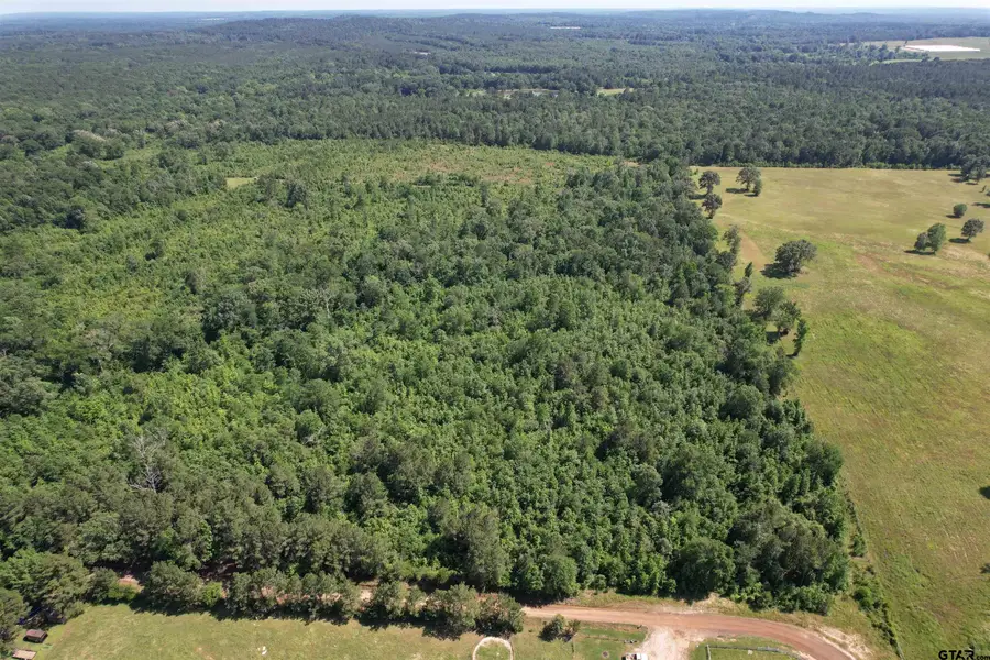 TBD-D County Road 4021, Timpson, TX 75975 - #3