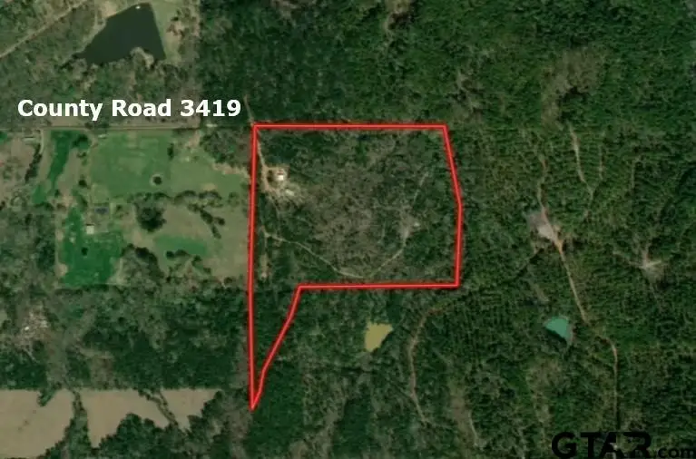 16650 CR 3419, Brownsboro, TX 75756 - Image #3