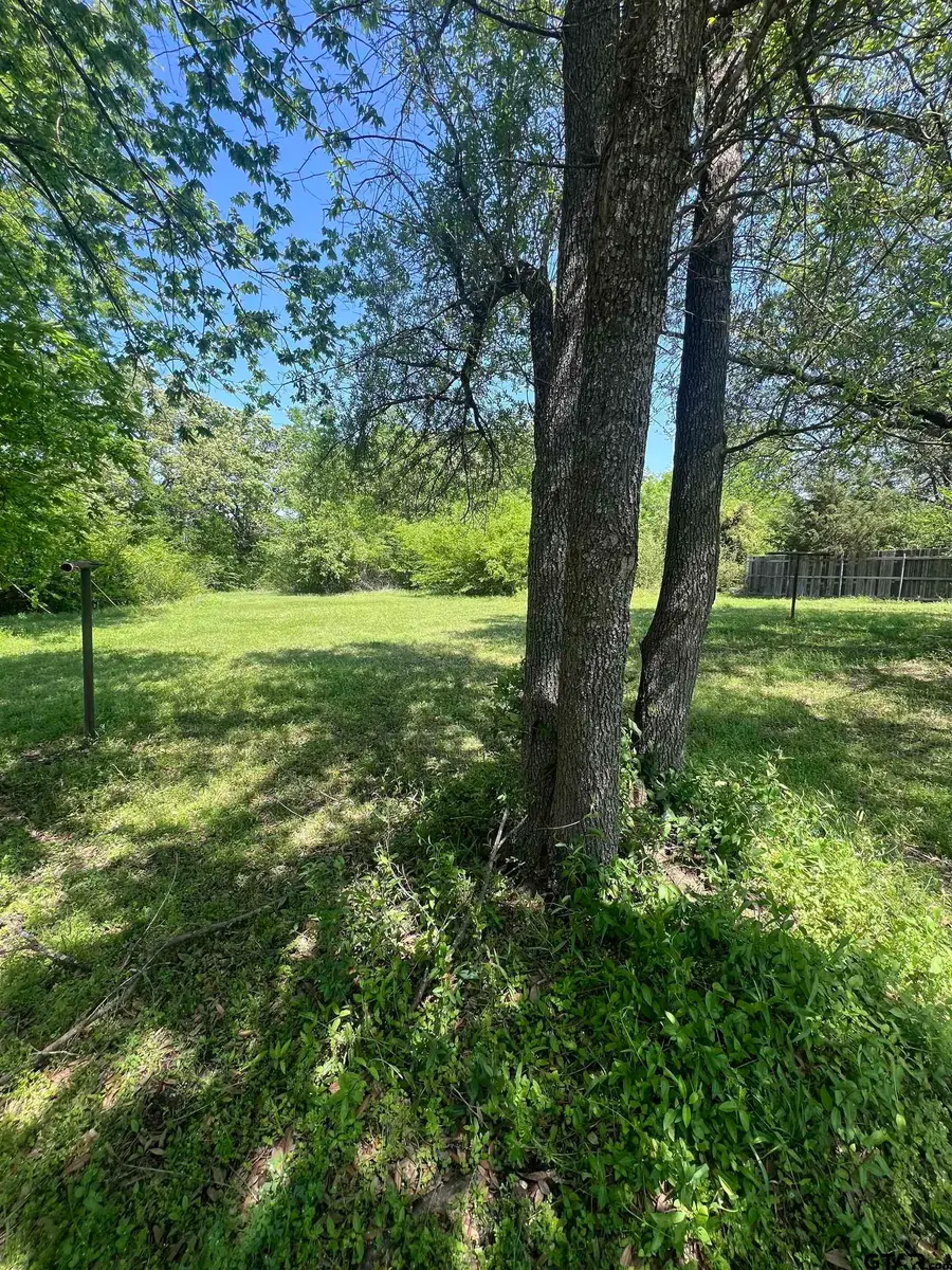 411 E Stadium Ln, Van, TX 75790 - #3