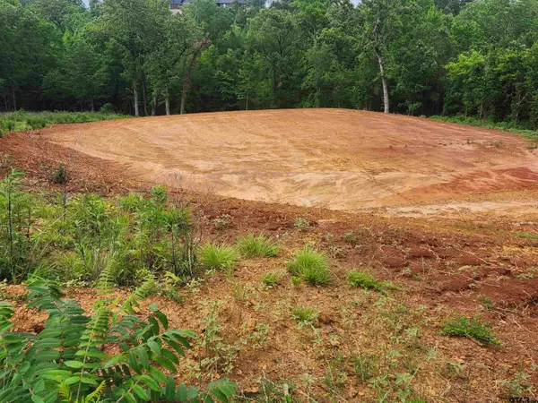 16160 W Valley View Court, Winona, TX 75792