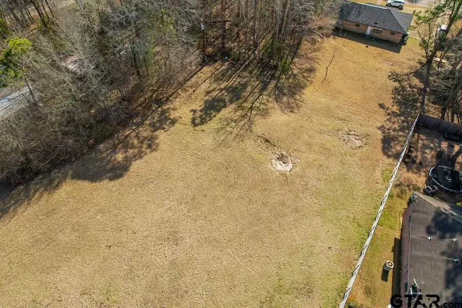 227 Trailhollow Ln, Palestine, TX 75801 - Image #3