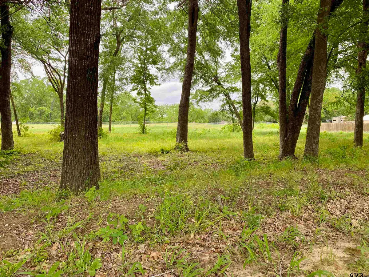 Lot 2 Browning Street, Brownsboro, TX 75756 - Image #1