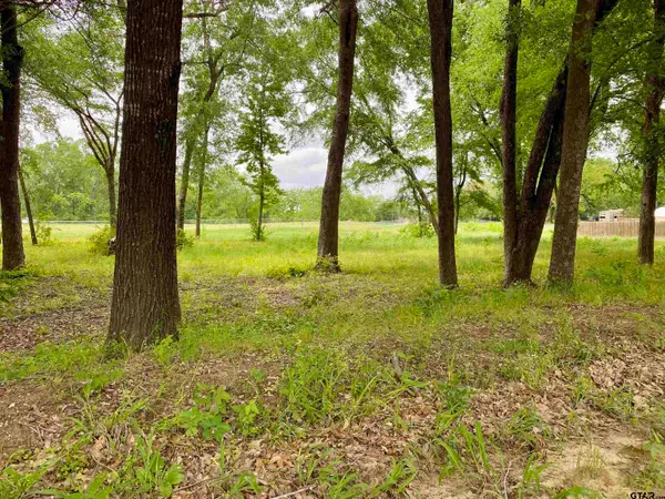 Lot 2 Browning Street, Brownsboro, TX 75756