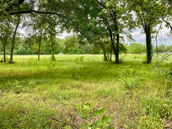 Lot 3 Browning Street, Brownsboro, TX 75756