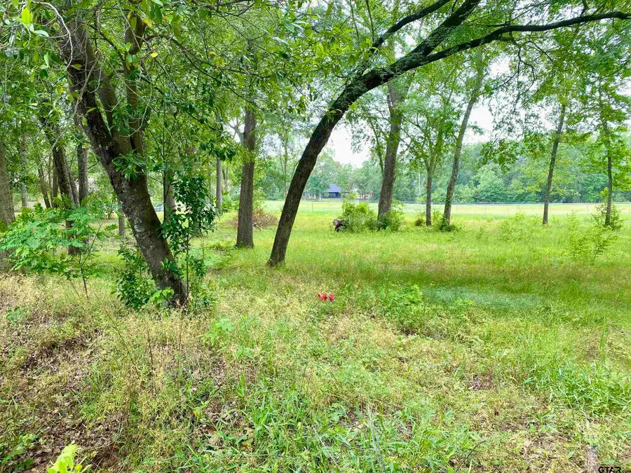 Lot 3 Browning Street, Brownsboro, TX 75756 - Image #2