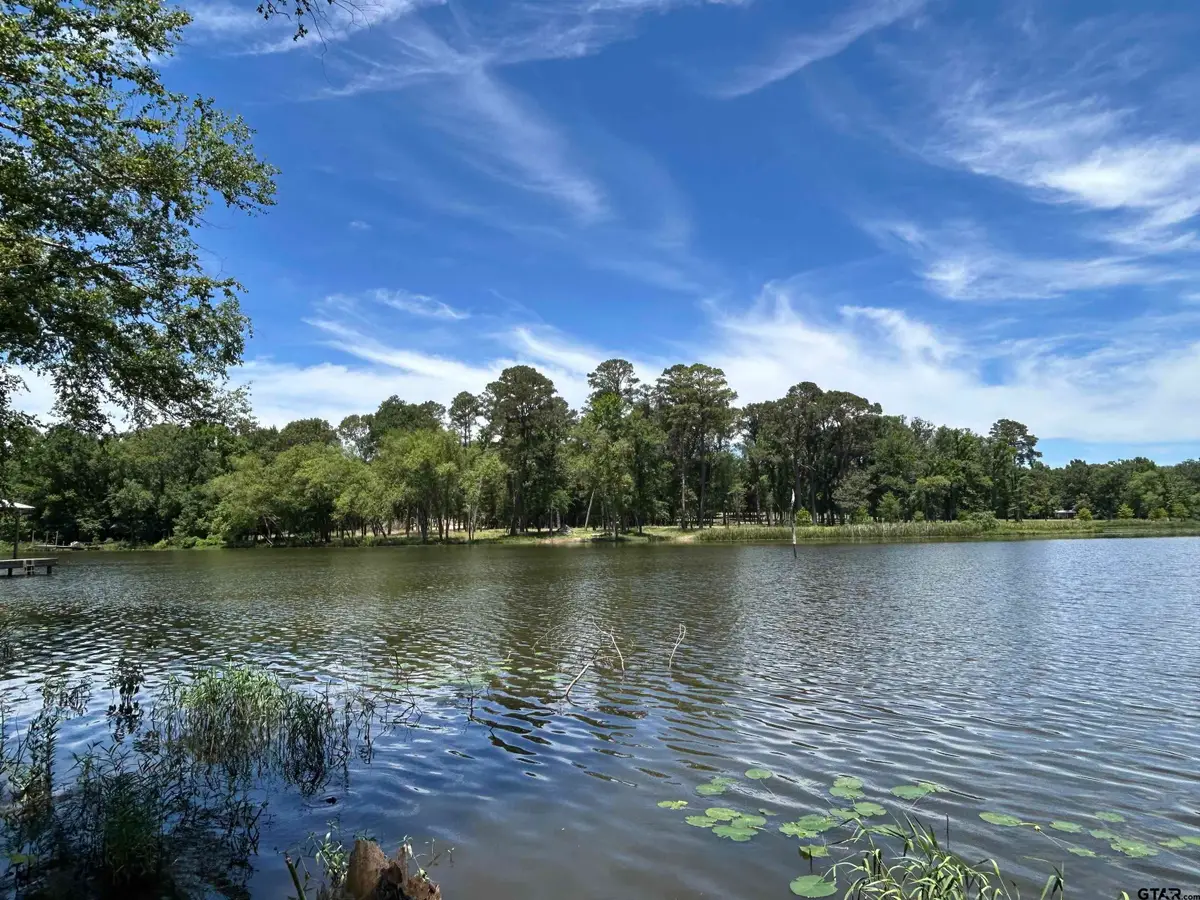 LOT TR 5B STEVENSON RD, Frankston, TX 75763 - Image #1