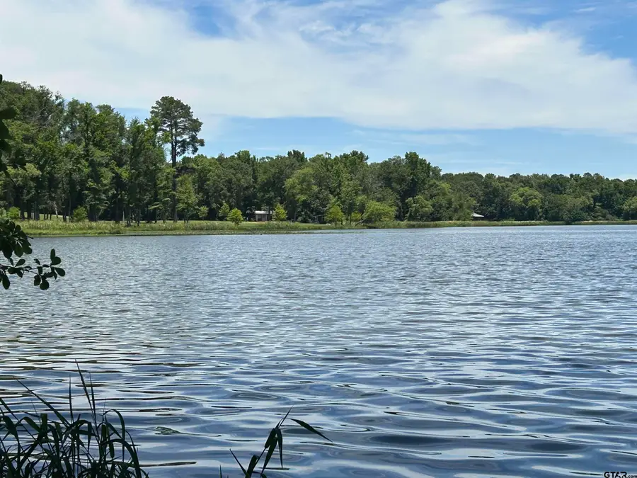 LOT TR 5B STEVENSON RD, Frankston, TX 75763 - Image #2