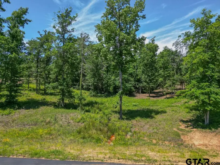 LT 80 Granite Ln., Hallsville, TX 75650 - Image #3