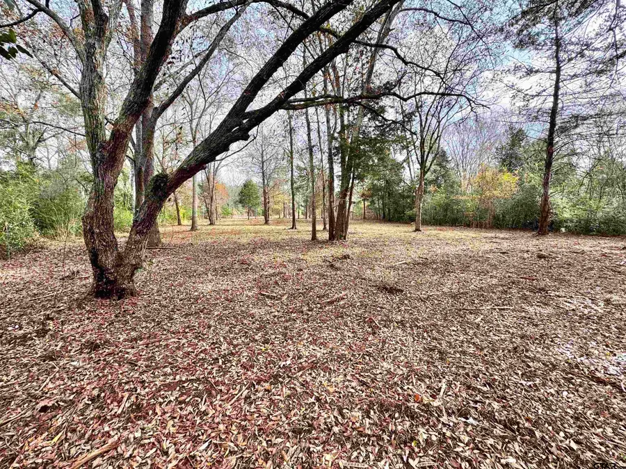 TBD Lakeshore Dr., Lot#11, Jacksonville, TX 75766 - Image #2