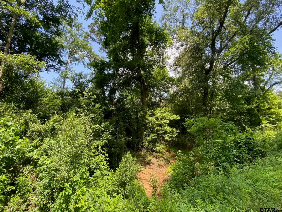 000 CR 2218, Rusk, TX 75785 - Image #3