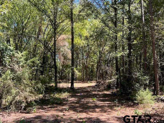 FM 1519 CR 3322, Pittsburg, TX 75686 - #1