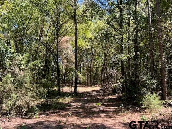 FM 1519 CR 3322, Pittsburg, TX 75686