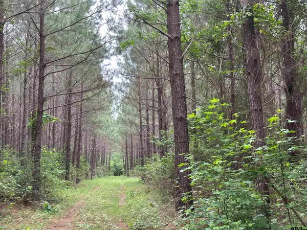 TBD Sand Road, Lufkin, TX 75904