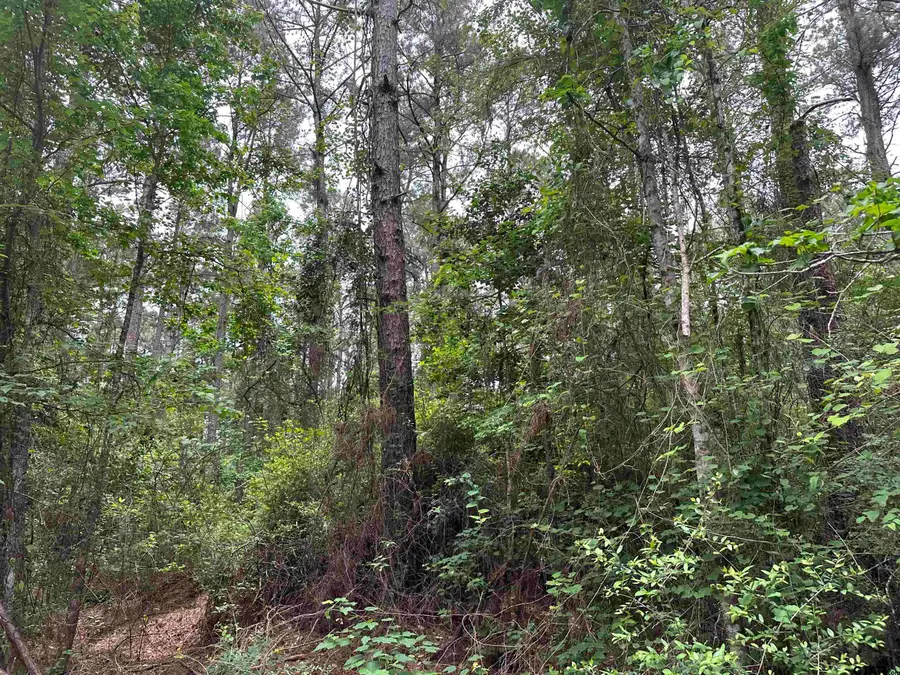 TBD Sand Road, Lufkin, TX 75904 - Image #2