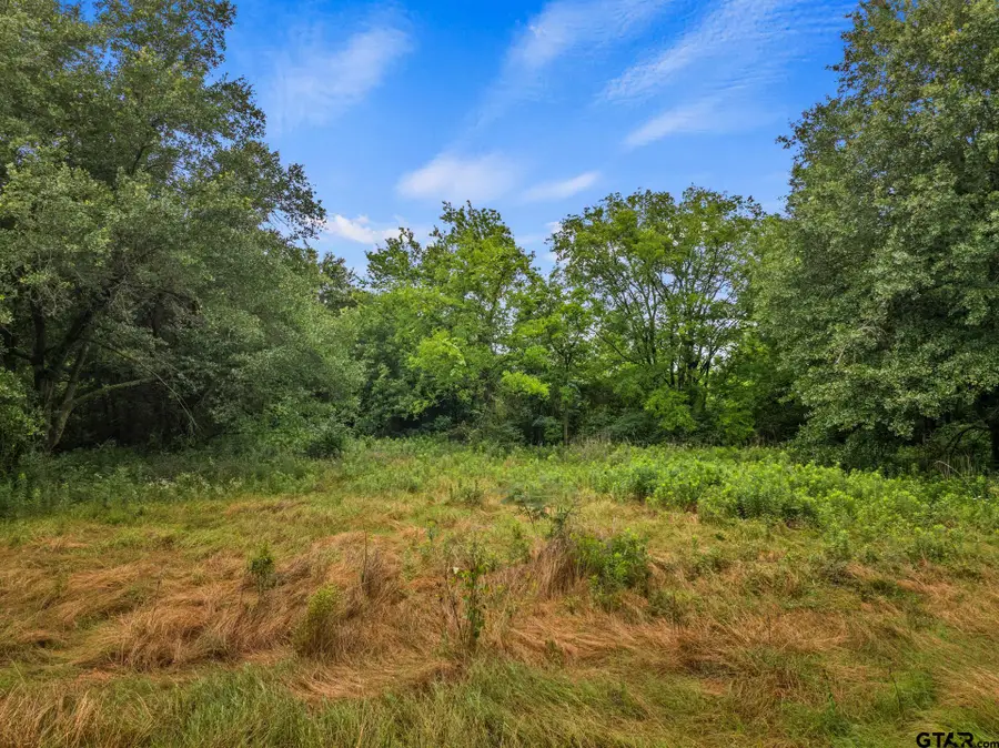 436 Grady Street, Mount Vernon, TX 75457 - Image #2