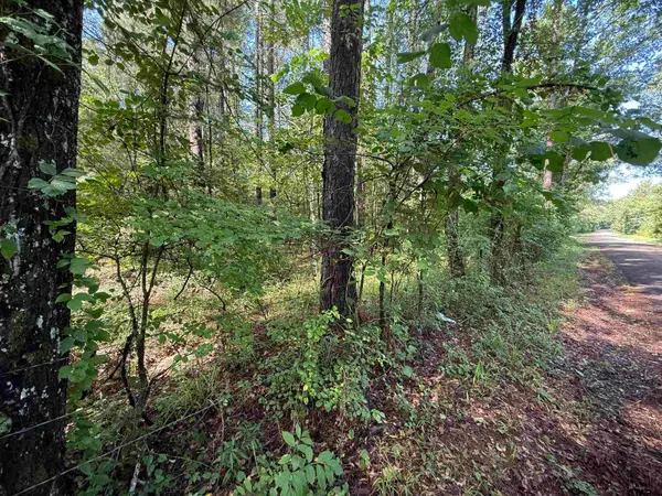 TBD CR 4194 Tr-1, Henderson, TX 75654