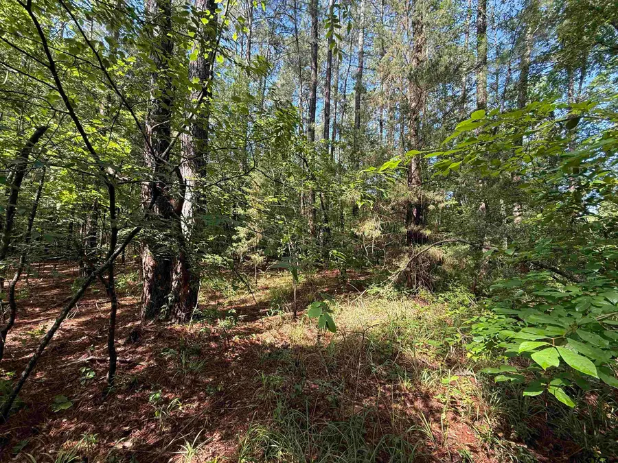 TBD CR 4194 Tr-1, Henderson, TX 75654 - Image #2