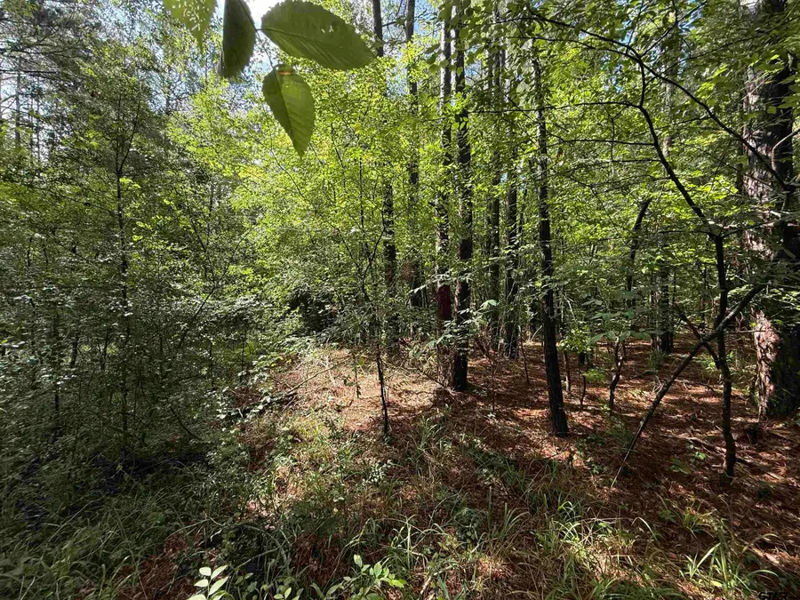 TBD CR 4194 Tr-1, Henderson, TX 75654 - Image #3