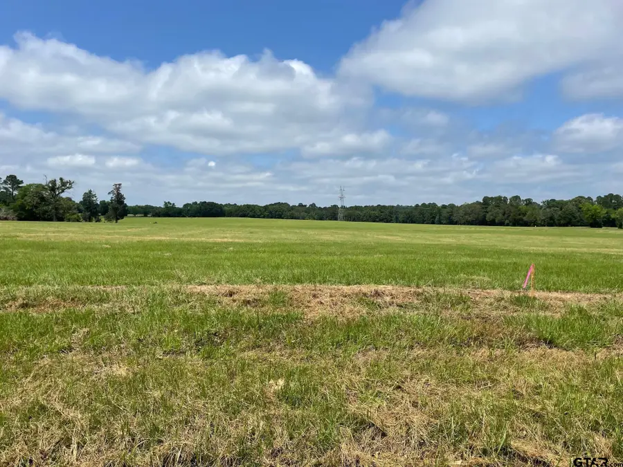 11380 Cr 4128 Lot 2a, Lindale, TX 75771 - #2