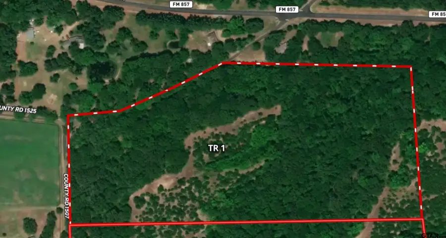 Tract 1 TBD VZCR 1507, Grand Saline, TX 75140 - Image #2