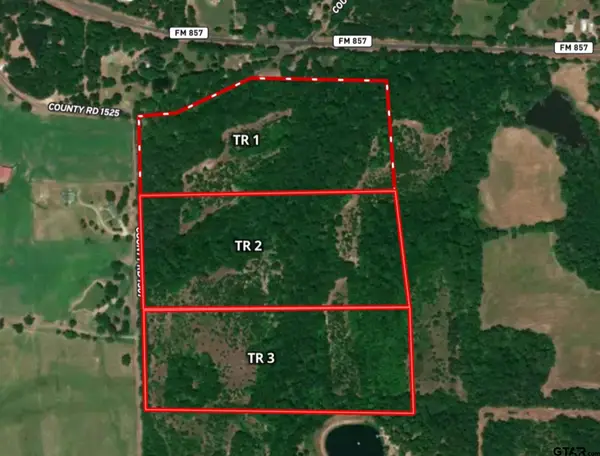 Tract 2 TBD VZCR 1507, Grand Saline, TX 75140