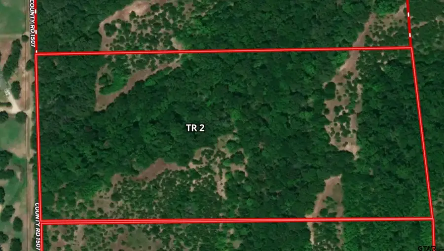 Tract 2 TBD VZCR 1507, Grand Saline, TX 75140 - Image #2