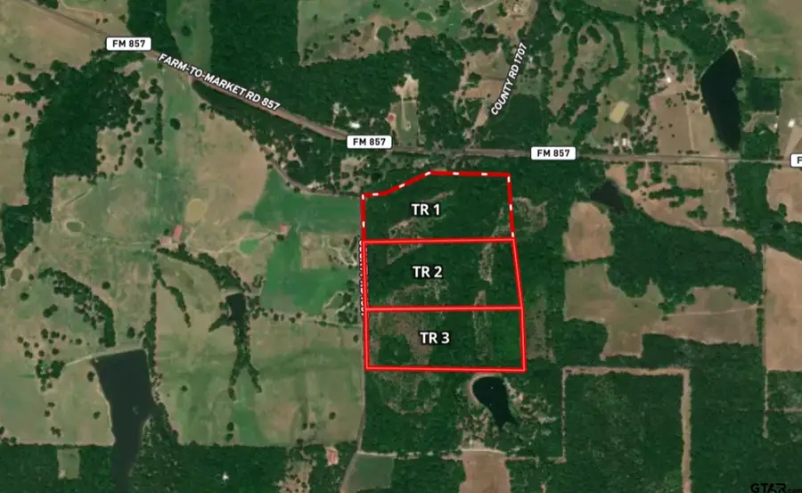 Tract 3 TBD VZCR 1507, Grand Saline, TX 75140 - Image #3