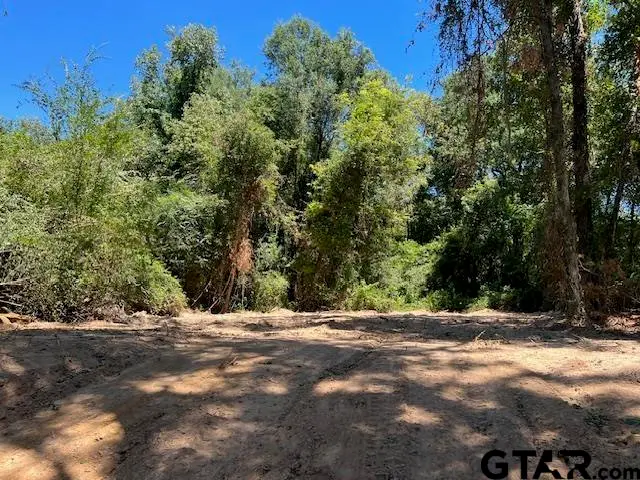 TBD LOT 2 CR 3322, Pittsburg, TX 75686 - Image #1