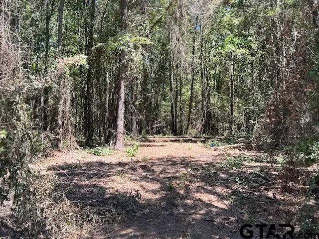 TBD LOT 2 CR 3322, Pittsburg, TX 75686 - Image #3