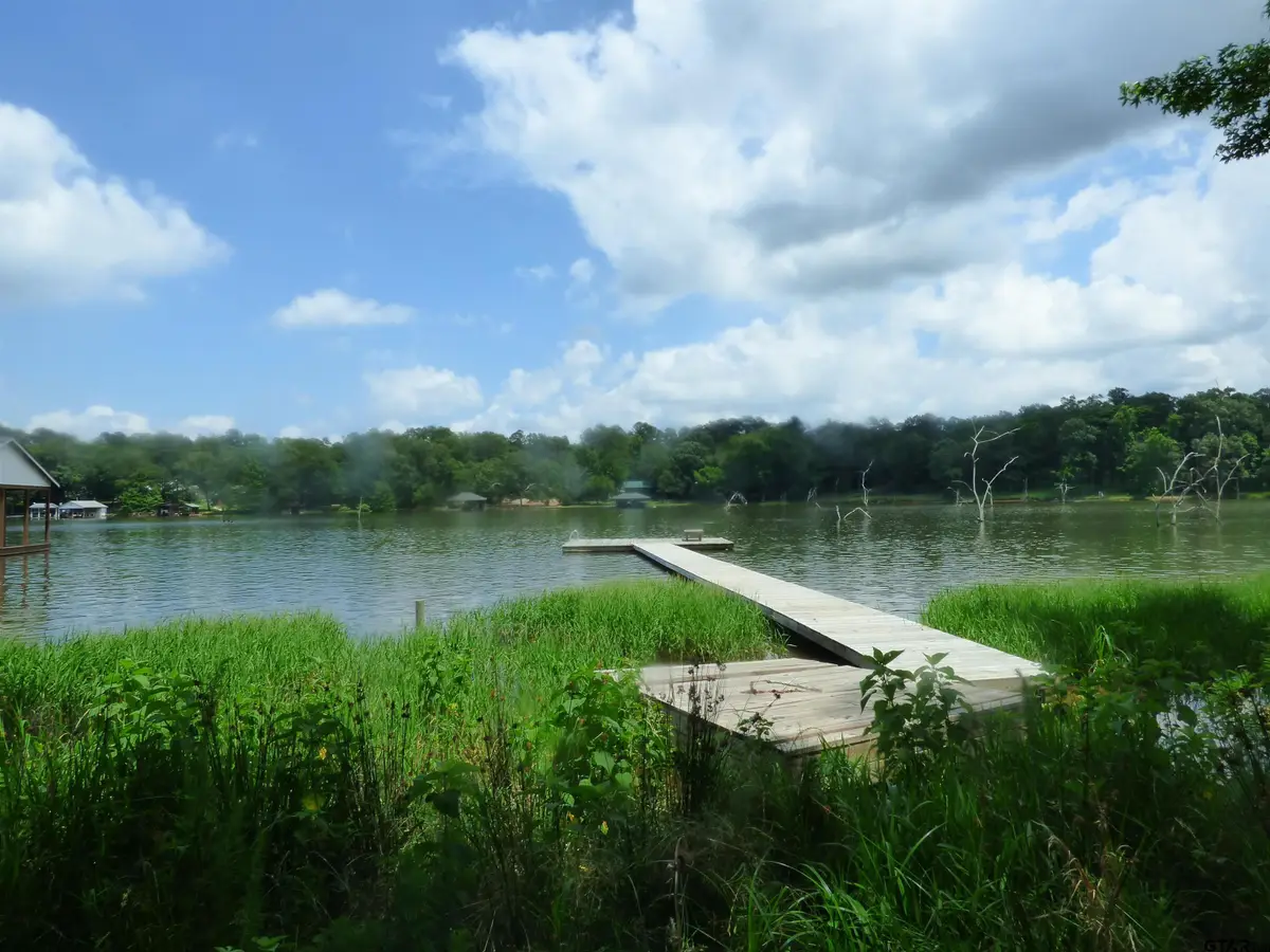 TBD Private Road 52416, Lot 43, Pittsburg, TX 75686 - Image #1