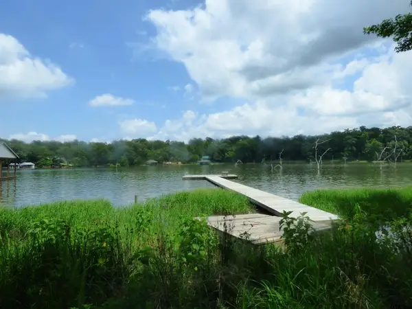 TBD Private Road 52416, Lot 43, Pittsburg, TX 75686