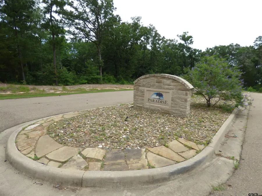 TBD Private Road 52416, Lot 43, Pittsburg, TX 75686 - Image #2