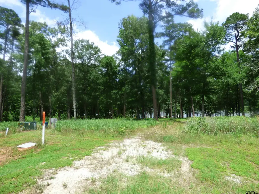 TBD Private Road 52416, Lot 43, Pittsburg, TX 75686 - Image #3