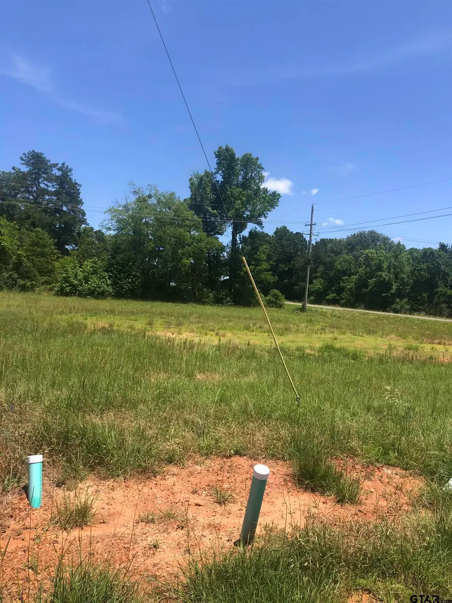 TBD Meadow Lane, Naples, TX 75568 - Image #2