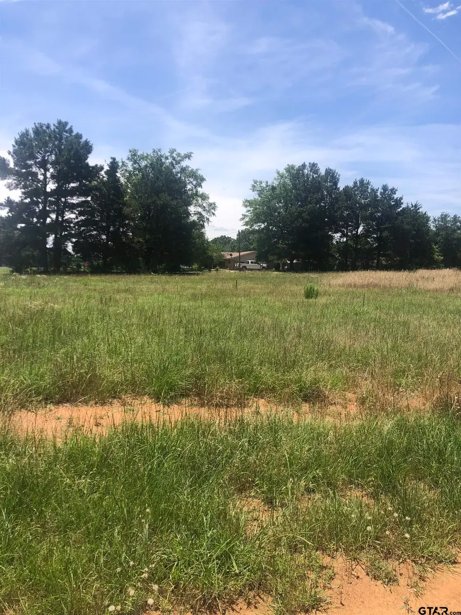 TBD Meadow Lane, Naples, TX 75568 - Image #2