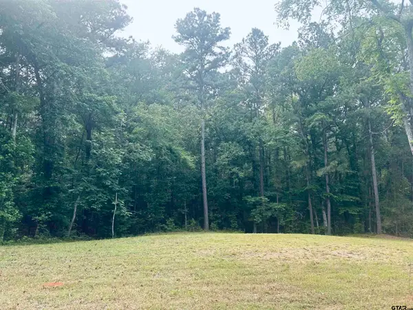 TBD Brandon St, Troup, TX 75789