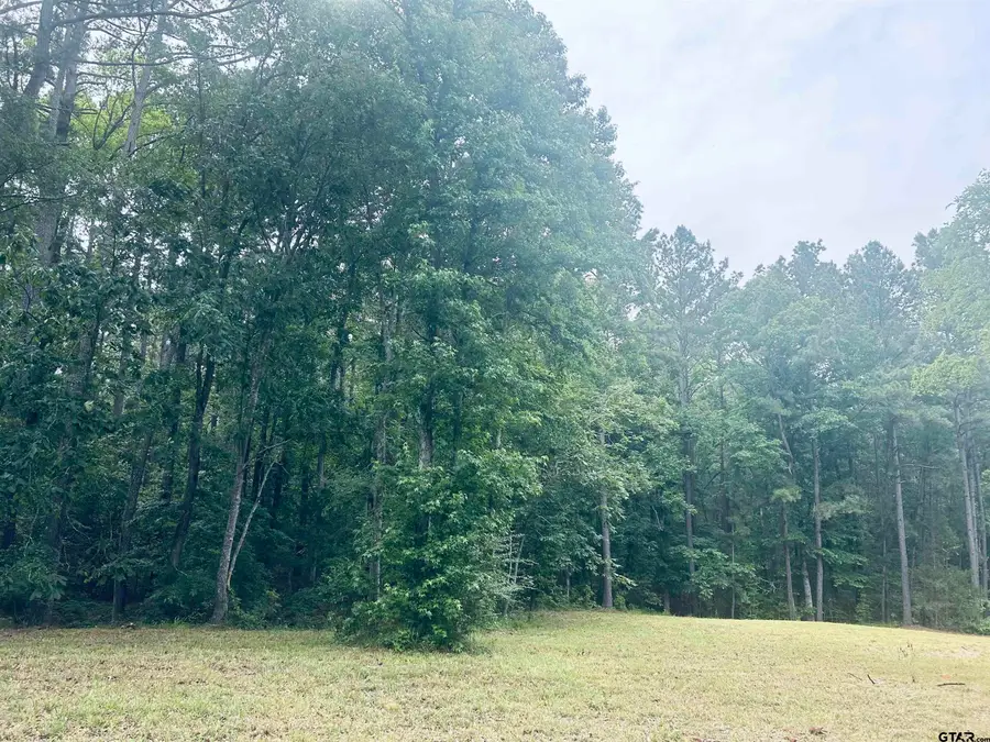 TBD Brandon St, Troup, TX 75789 - Image #2