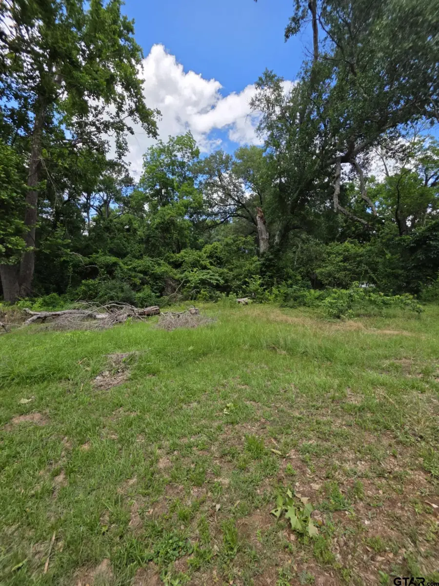 233 Hill Ave, Rusk, TX 75785 - Image #2