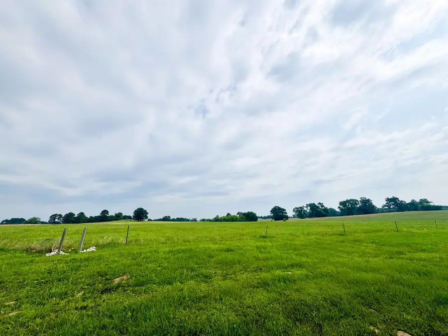 Lot 62 CR 2320, Pittsburg, TX 75686 - Image #2