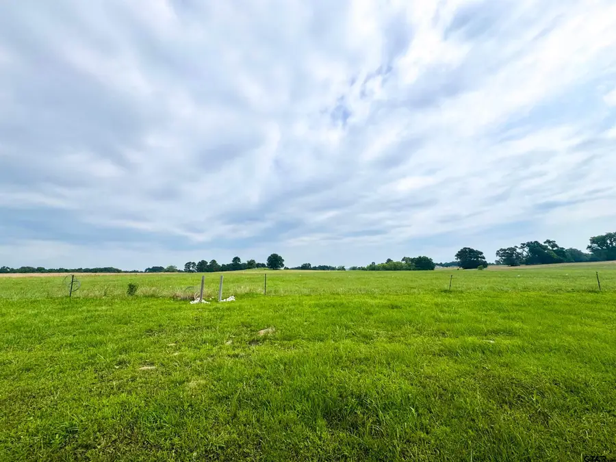 Lot 62 CR 2320, Pittsburg, TX 75686 - Image #3