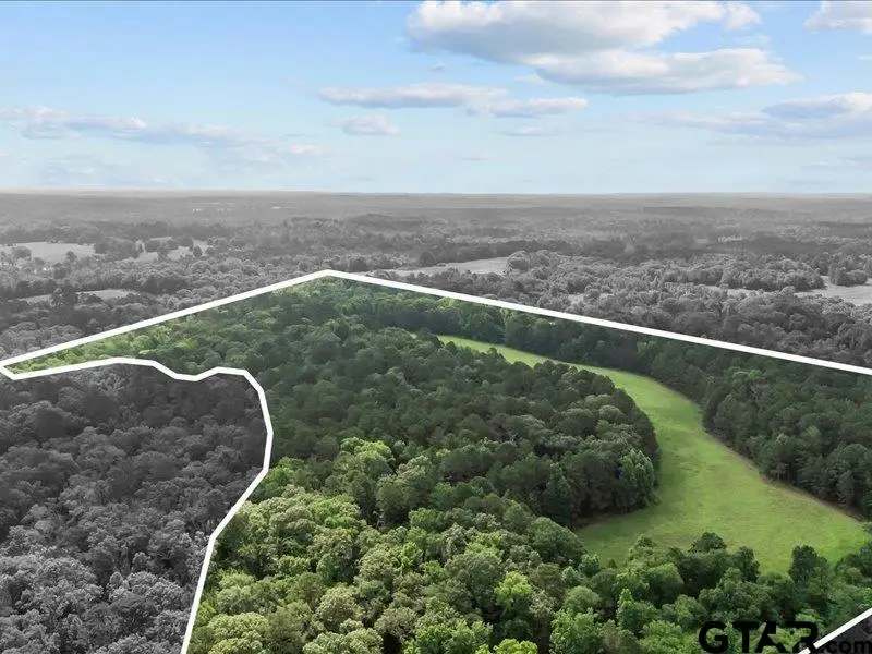 000 An County Road 100, Elkhart, TX 75839 - Image #1