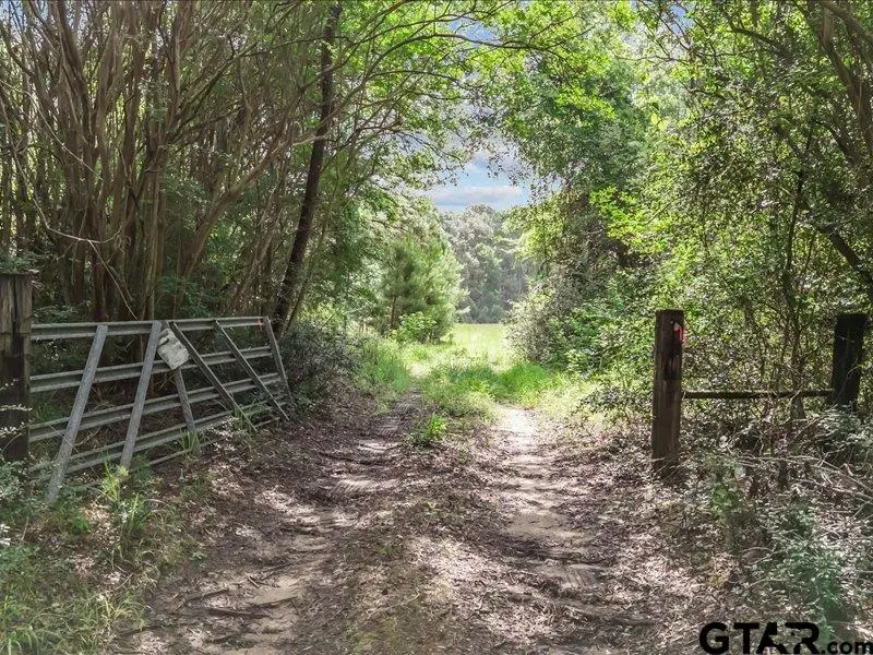 000 An County Road 100, Elkhart, TX 75839 - Image #2